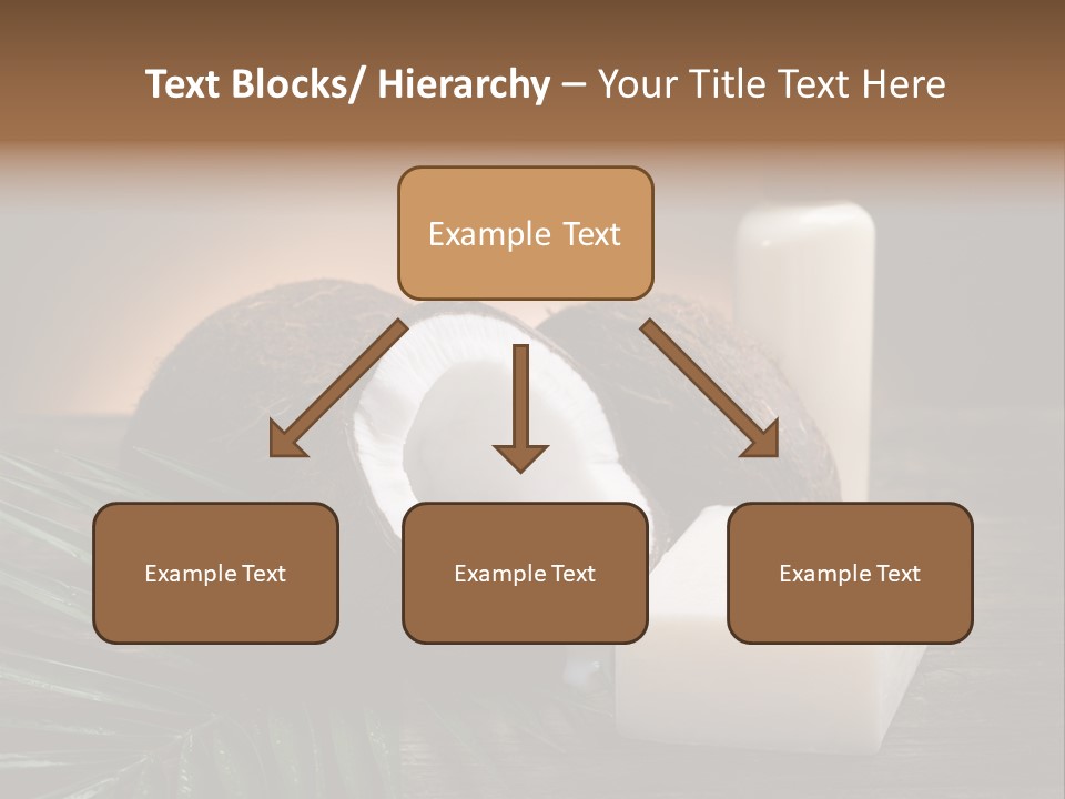 Organic Soap Nut PowerPoint Template