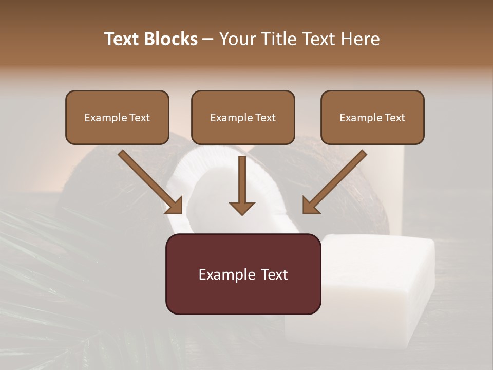 Organic Soap Nut PowerPoint Template