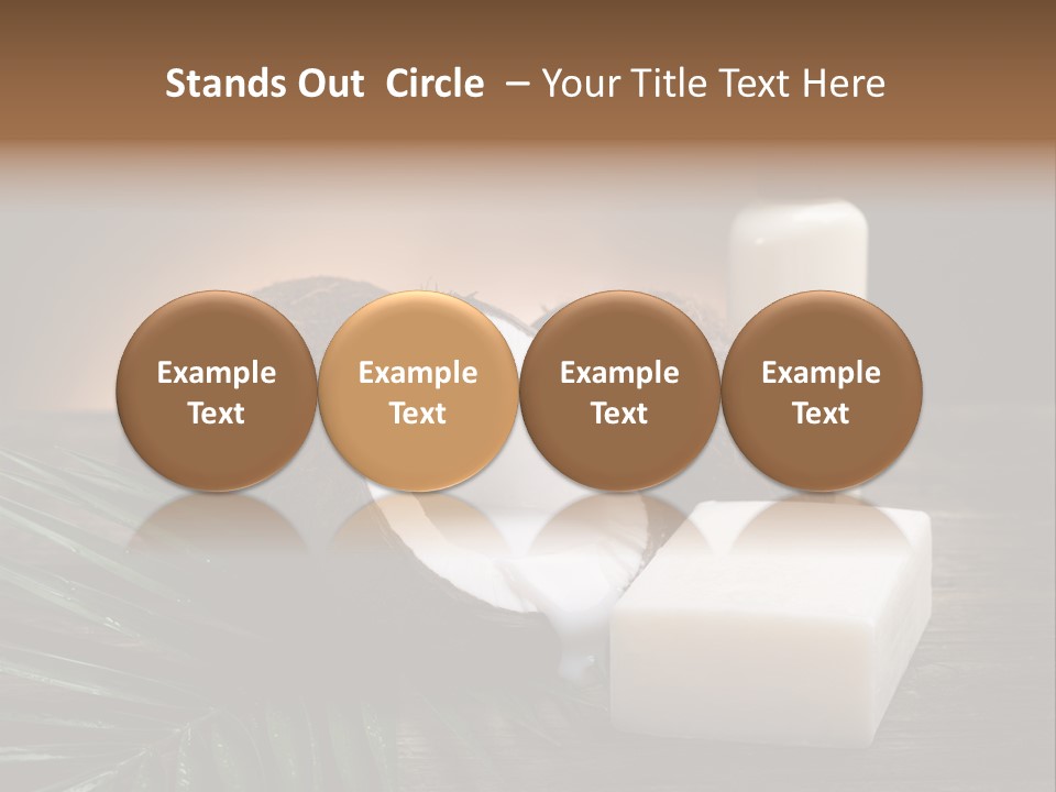 Organic Soap Nut PowerPoint Template