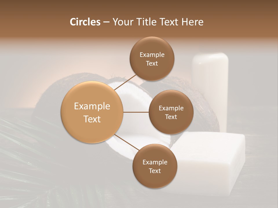 Organic Soap Nut PowerPoint Template