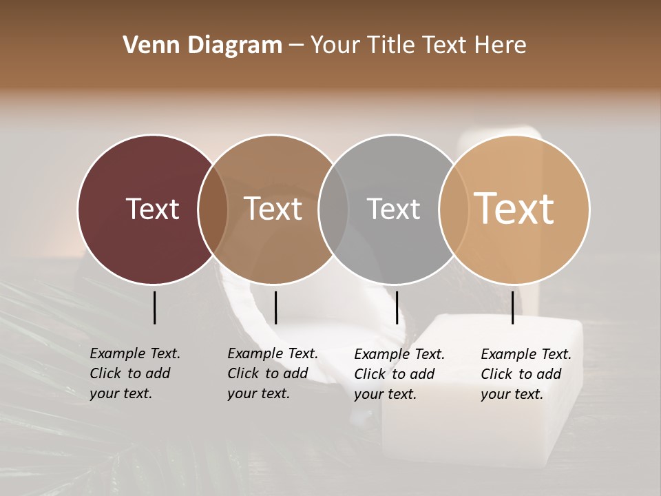 Organic Soap Nut PowerPoint Template
