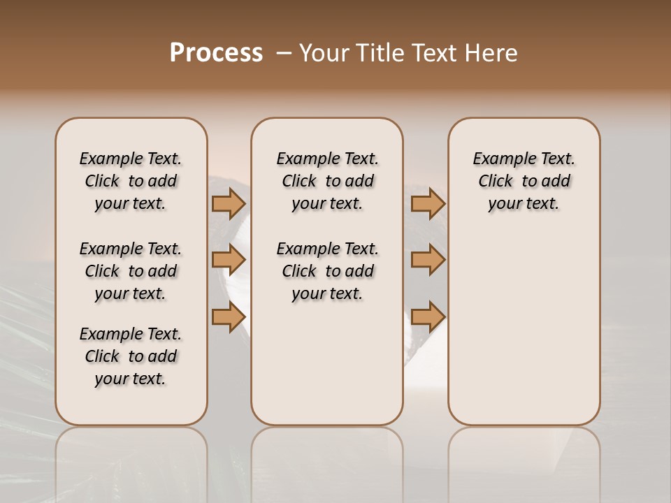 Organic Soap Nut PowerPoint Template
