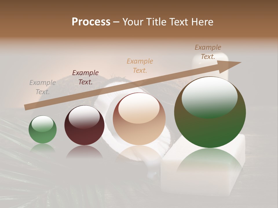 Organic Soap Nut PowerPoint Template