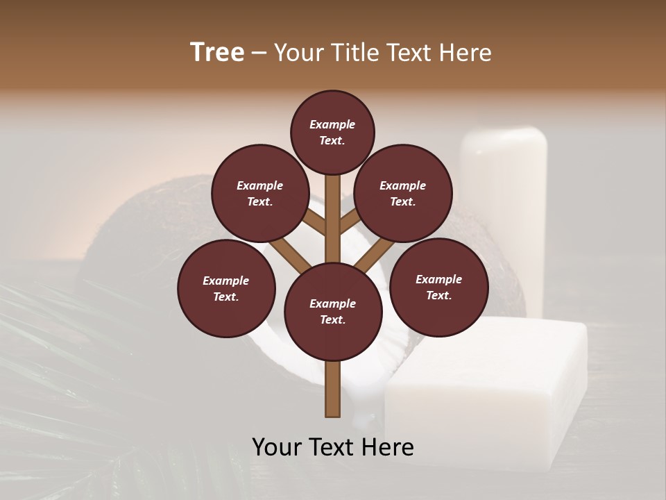 Organic Soap Nut PowerPoint Template
