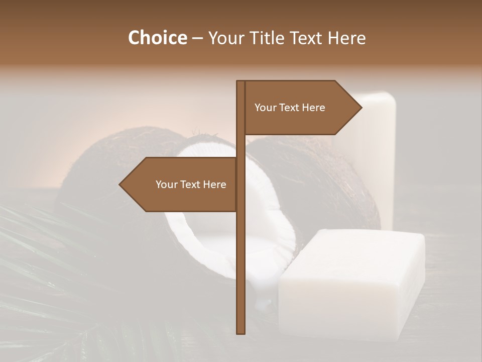 Organic Soap Nut PowerPoint Template