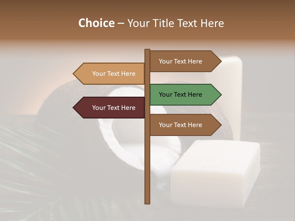 Organic Soap Nut PowerPoint Template