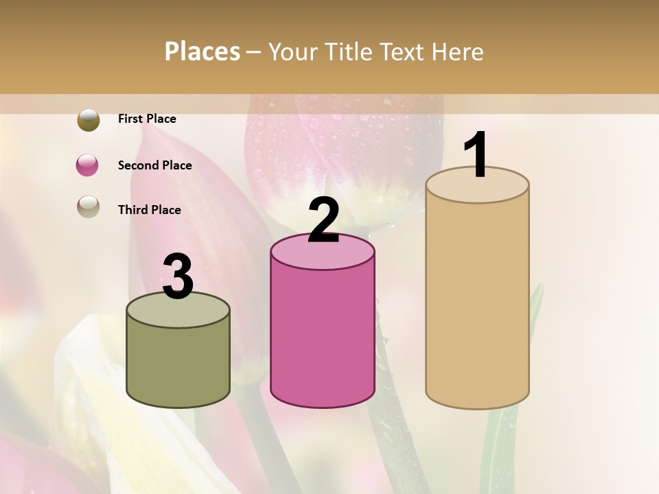 Green Celebrate Copy PowerPoint Template
