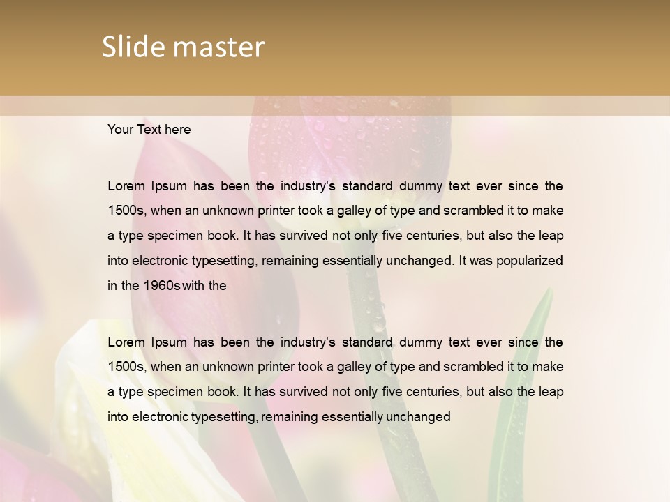 Green Celebrate Copy PowerPoint Template