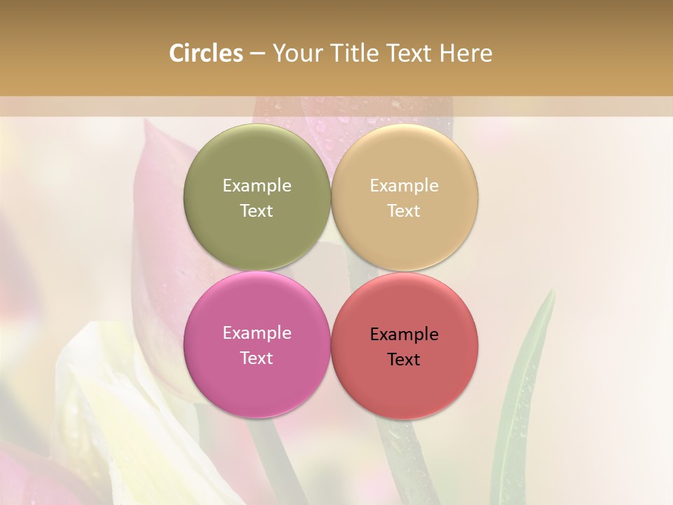 Green Celebrate Copy PowerPoint Template