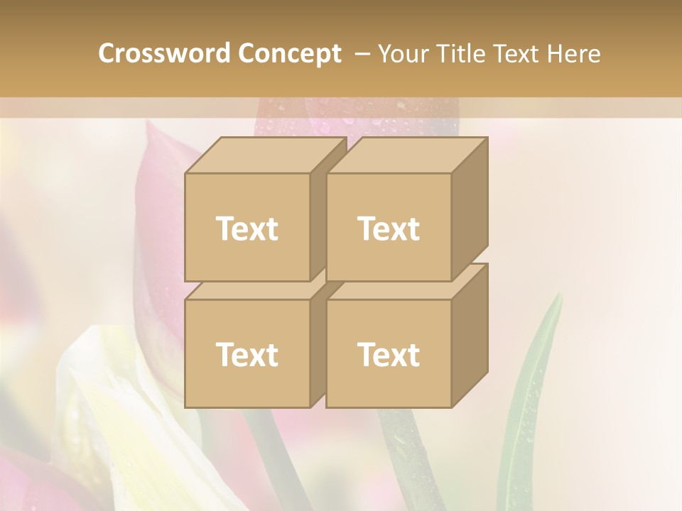 Green Celebrate Copy PowerPoint Template
