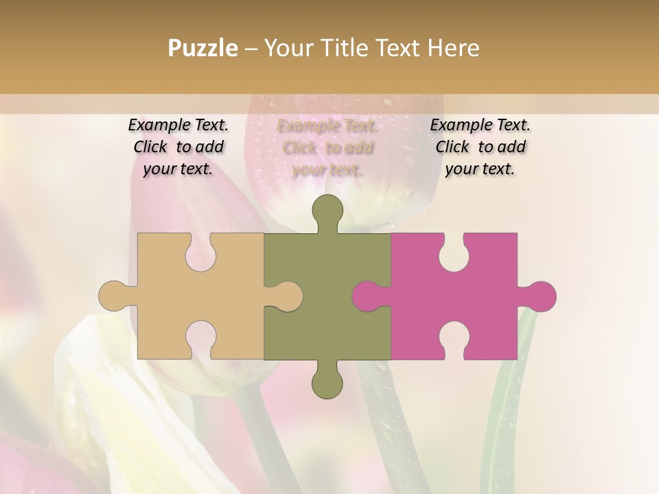 Green Celebrate Copy PowerPoint Template
