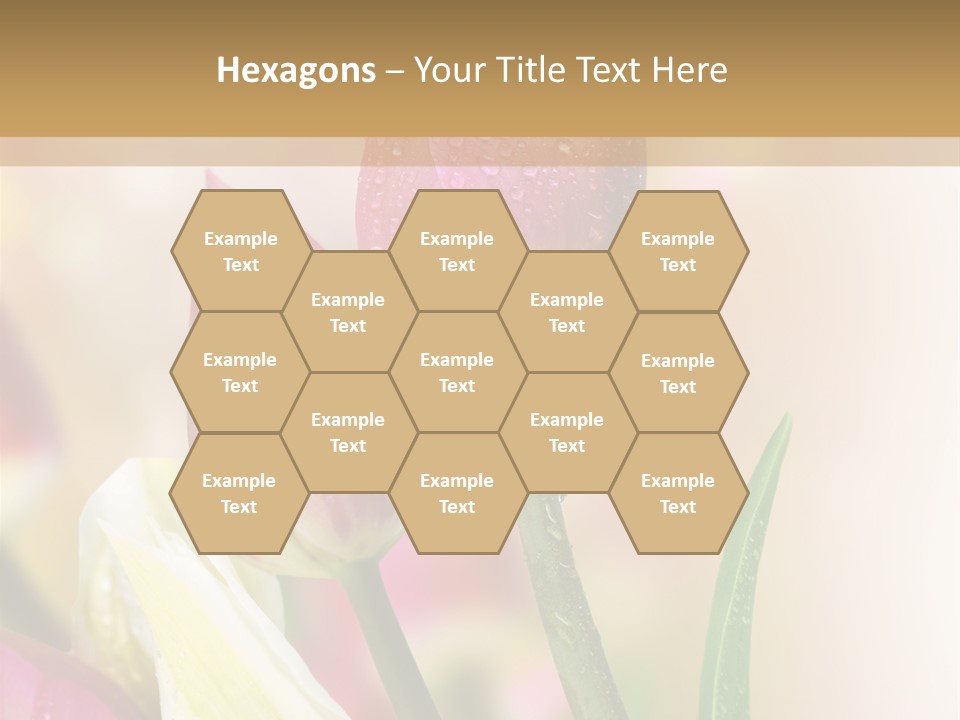 Green Celebrate Copy PowerPoint Template