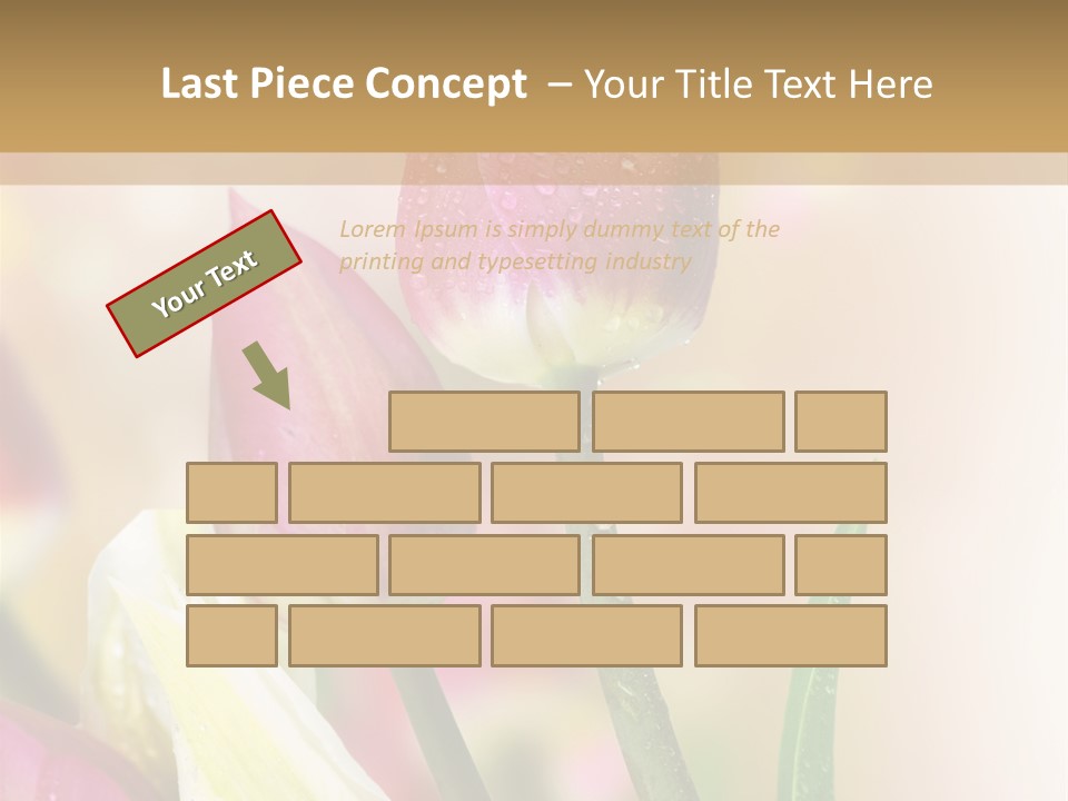 Green Celebrate Copy PowerPoint Template