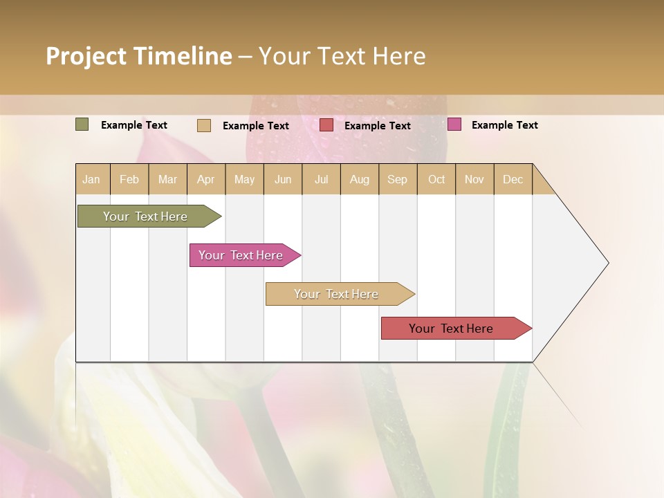 Green Celebrate Copy PowerPoint Template