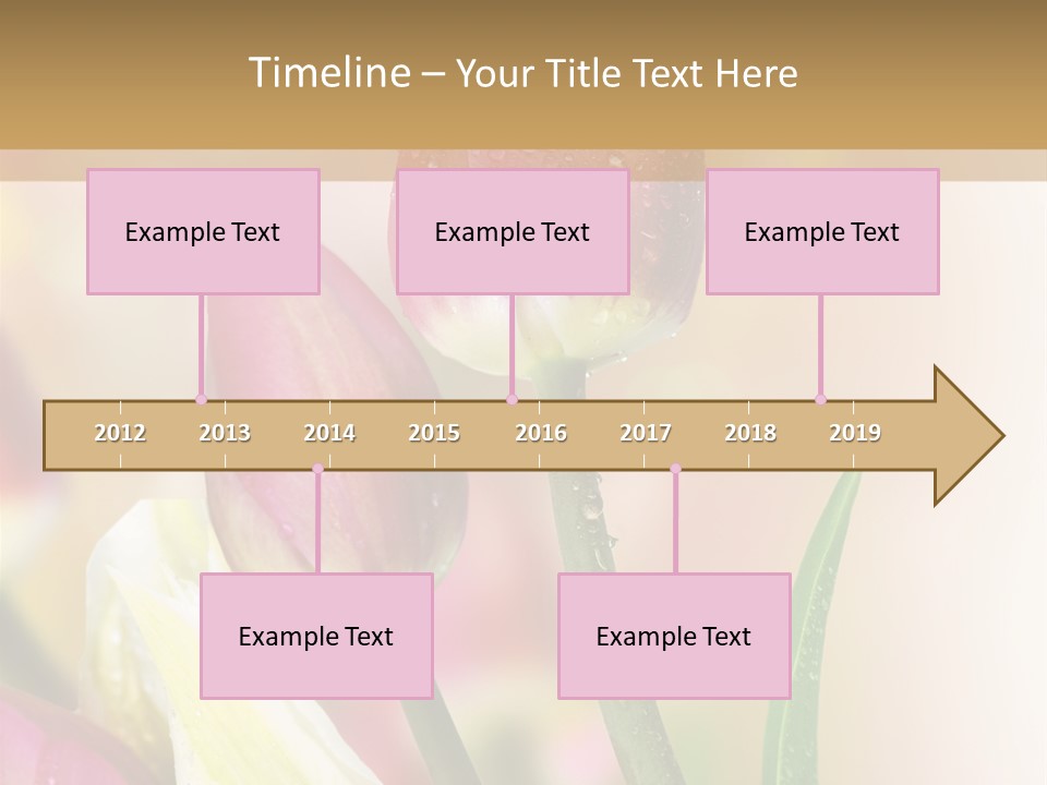 Green Celebrate Copy PowerPoint Template