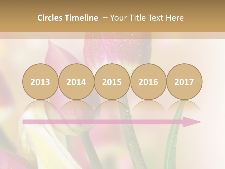 Green Celebrate Copy PowerPoint Template
