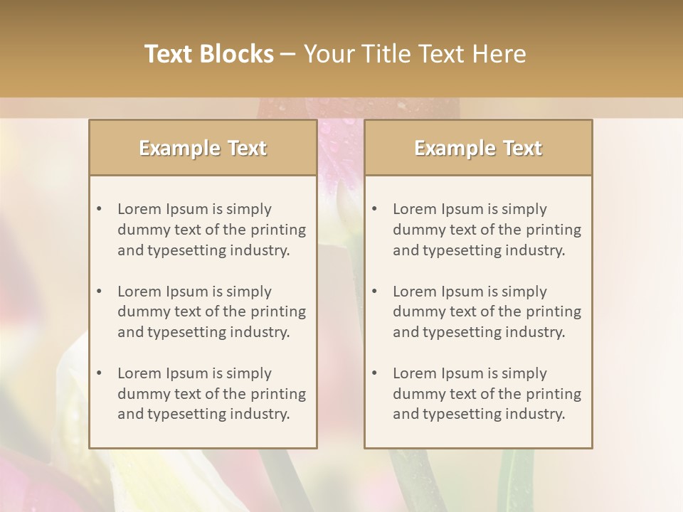 Green Celebrate Copy PowerPoint Template