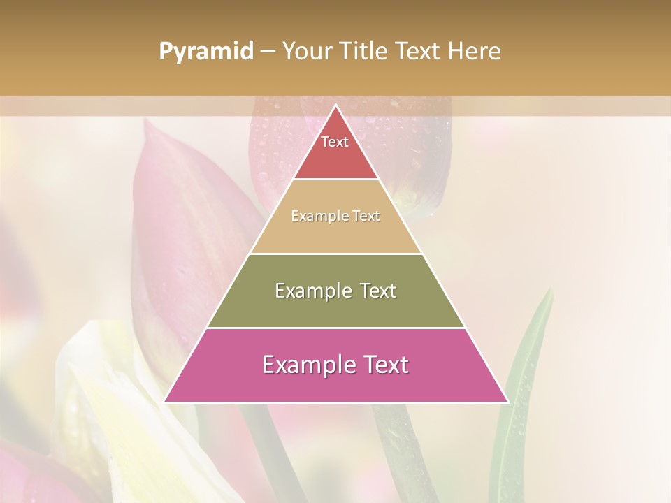 Green Celebrate Copy PowerPoint Template