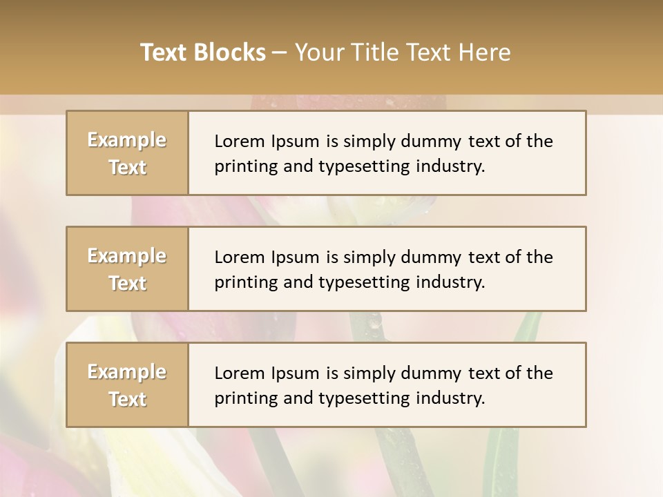 Green Celebrate Copy PowerPoint Template