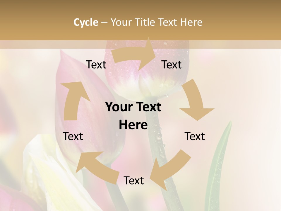 Green Celebrate Copy PowerPoint Template