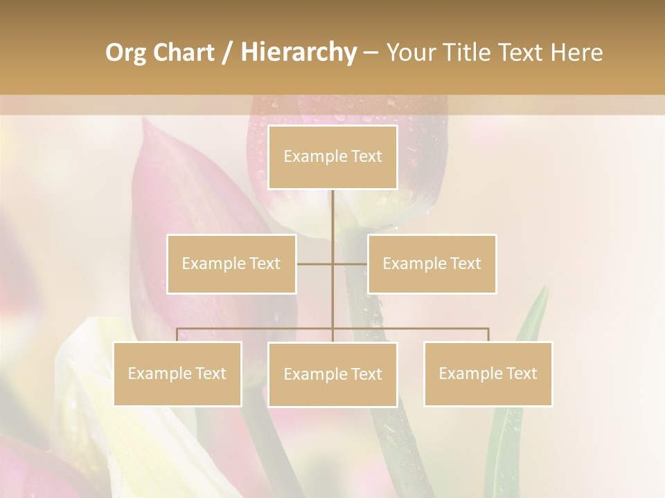 Green Celebrate Copy PowerPoint Template