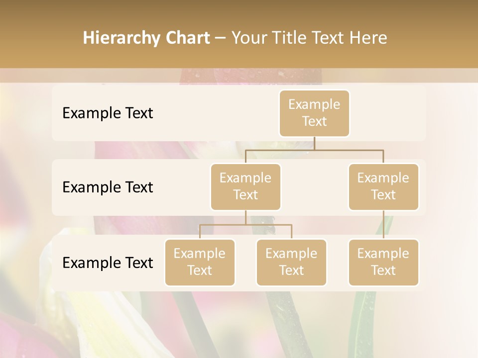 Green Celebrate Copy PowerPoint Template