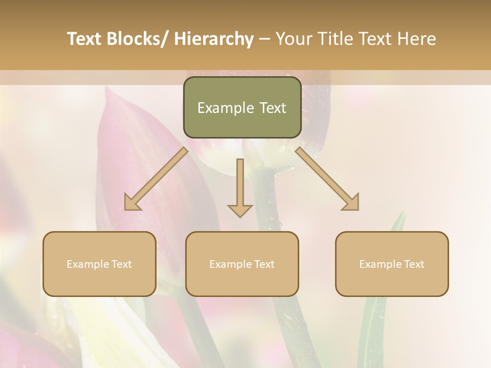Green Celebrate Copy PowerPoint Template