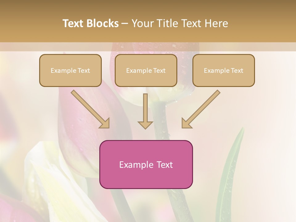 Green Celebrate Copy PowerPoint Template