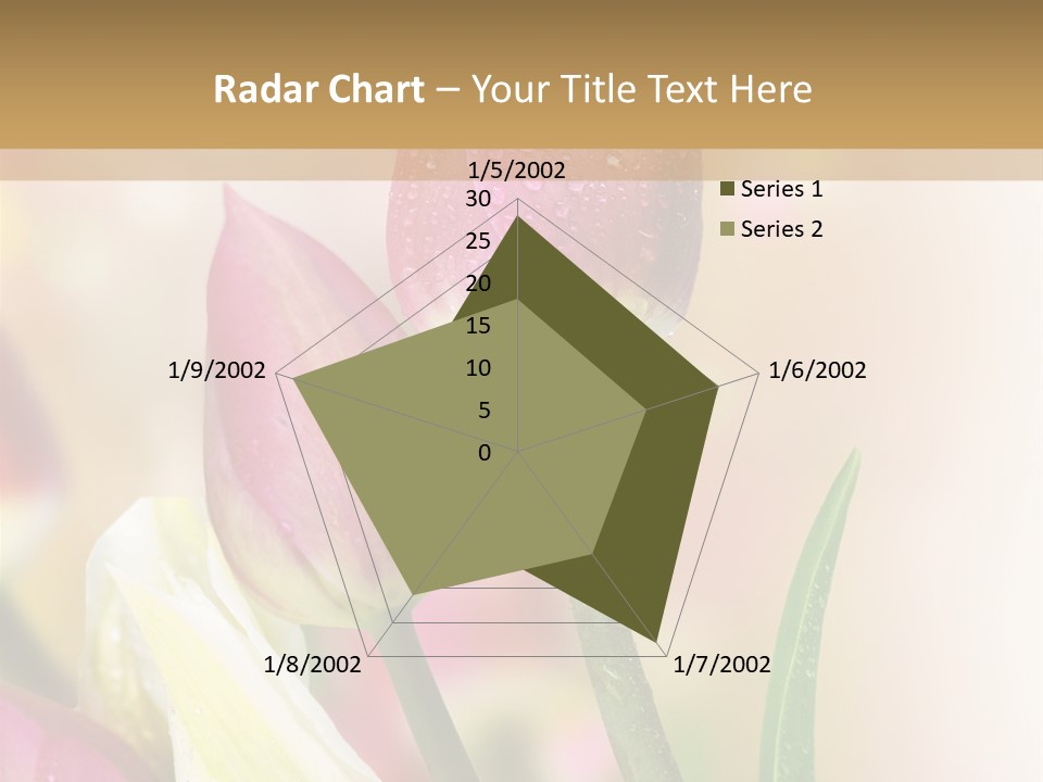 Green Celebrate Copy PowerPoint Template