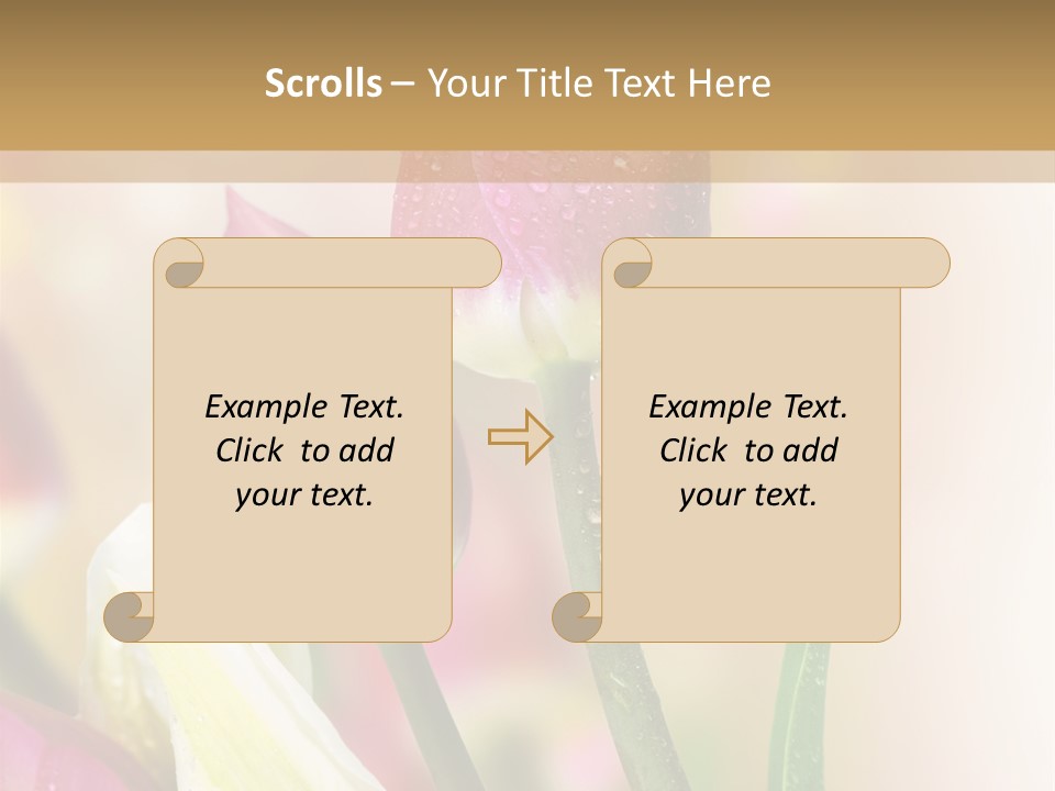 Green Celebrate Copy PowerPoint Template