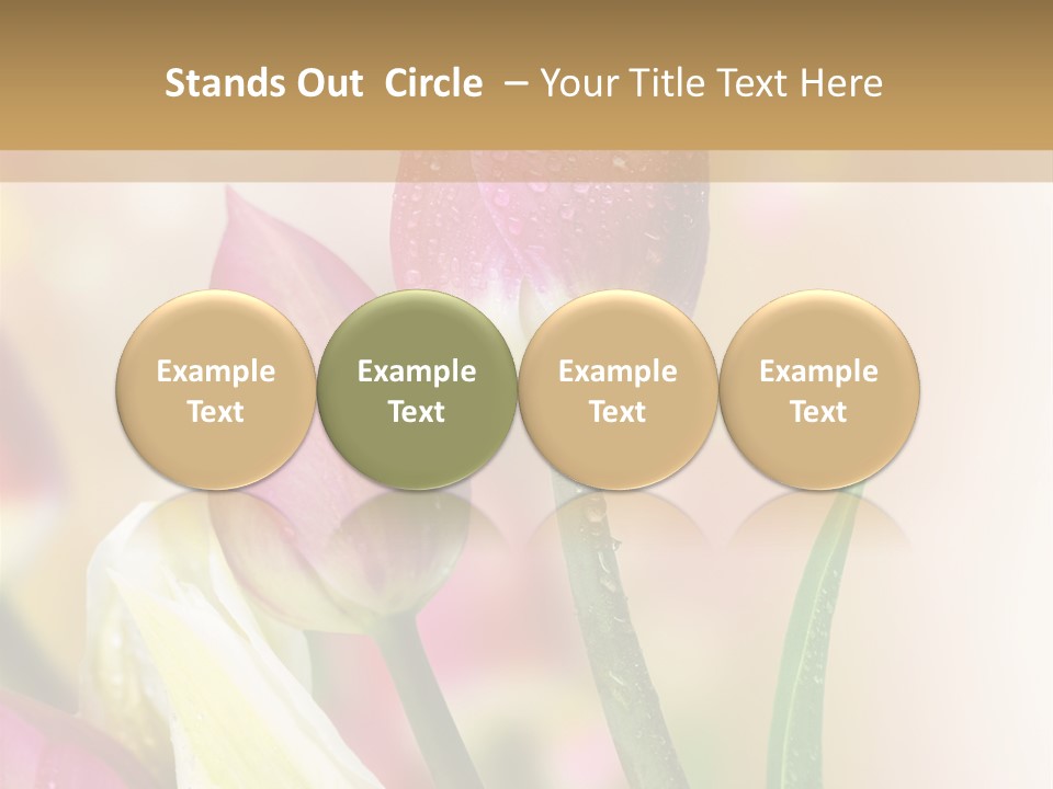 Green Celebrate Copy PowerPoint Template