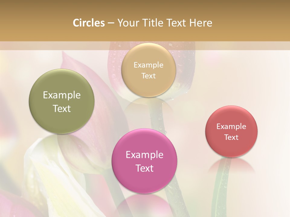 Green Celebrate Copy PowerPoint Template