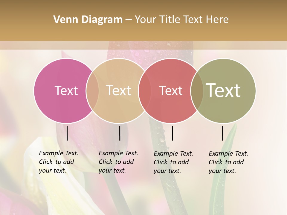 Green Celebrate Copy PowerPoint Template