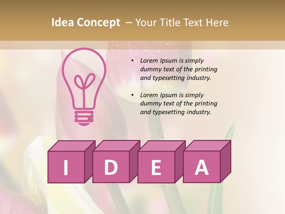 Green Celebrate Copy PowerPoint Template