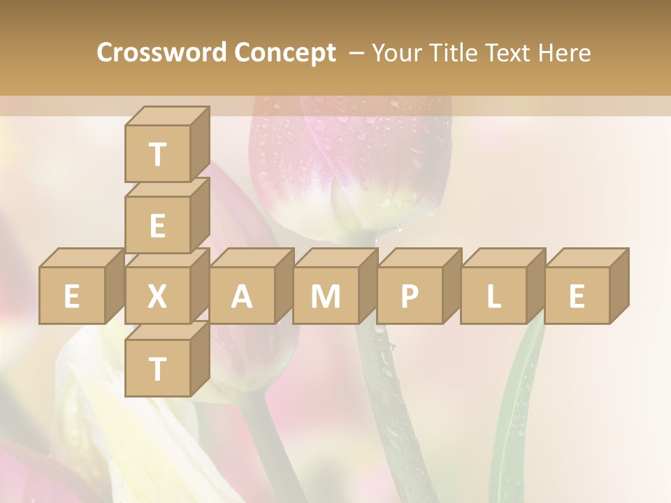 Green Celebrate Copy PowerPoint Template