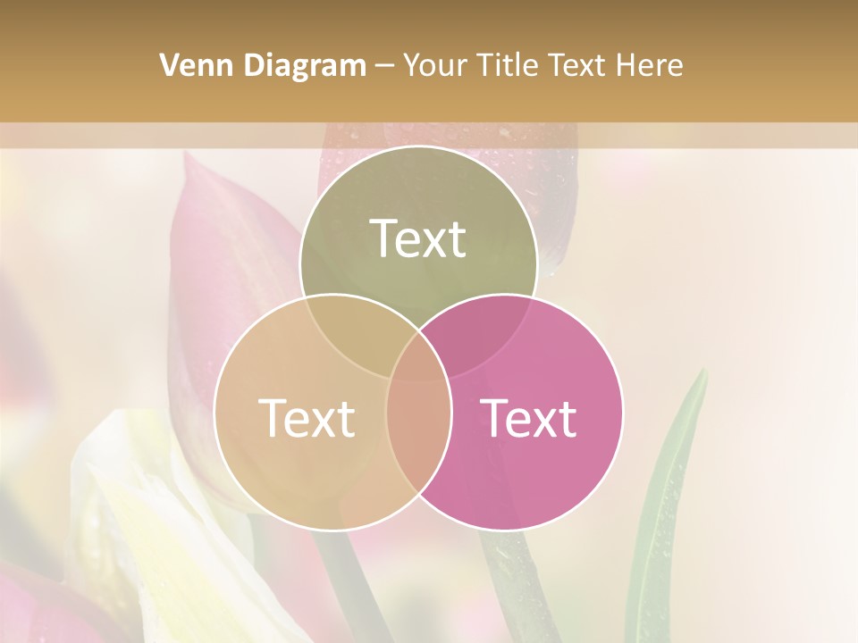 Green Celebrate Copy PowerPoint Template