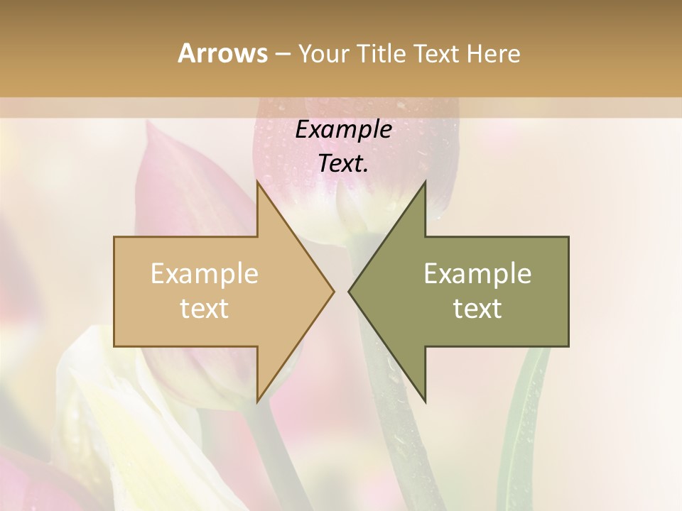 Green Celebrate Copy PowerPoint Template