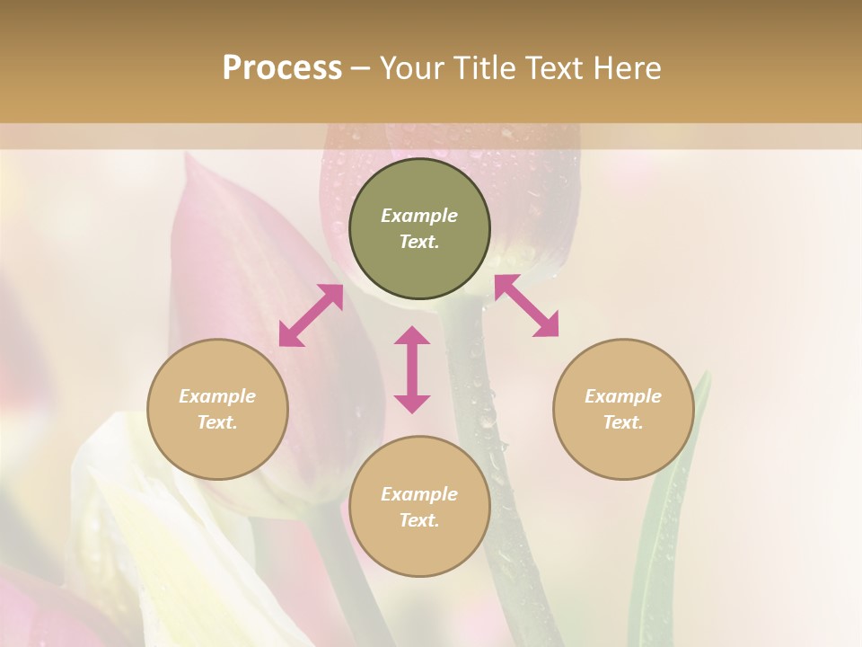 Green Celebrate Copy PowerPoint Template