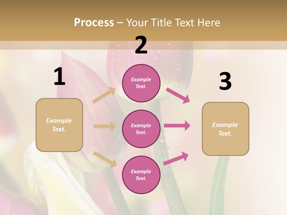 Green Celebrate Copy PowerPoint Template