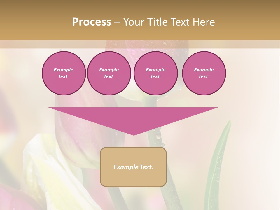 Green Celebrate Copy PowerPoint Template