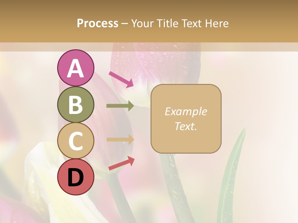 Green Celebrate Copy PowerPoint Template
