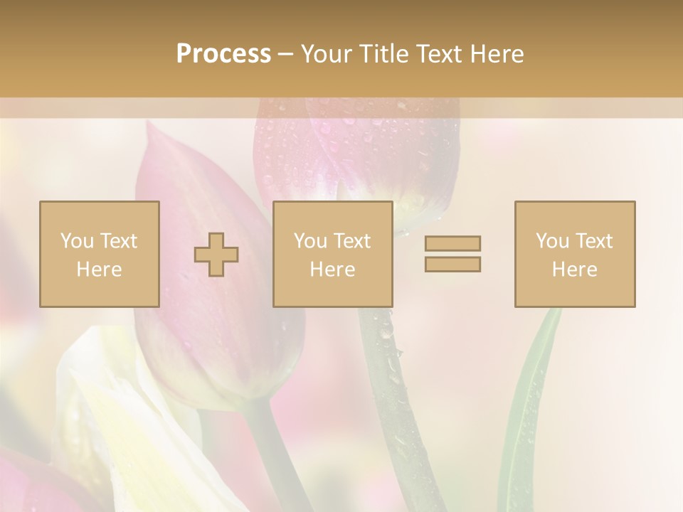 Green Celebrate Copy PowerPoint Template