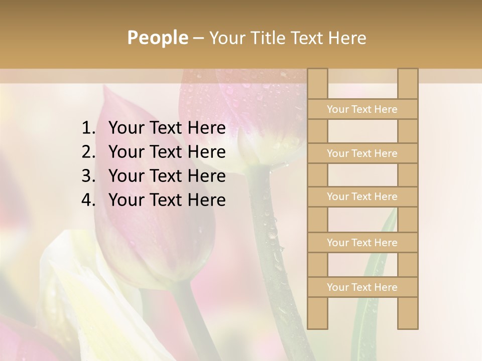 Green Celebrate Copy PowerPoint Template