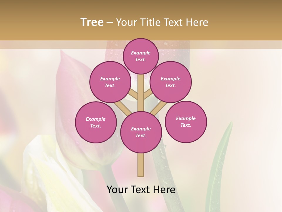 Green Celebrate Copy PowerPoint Template