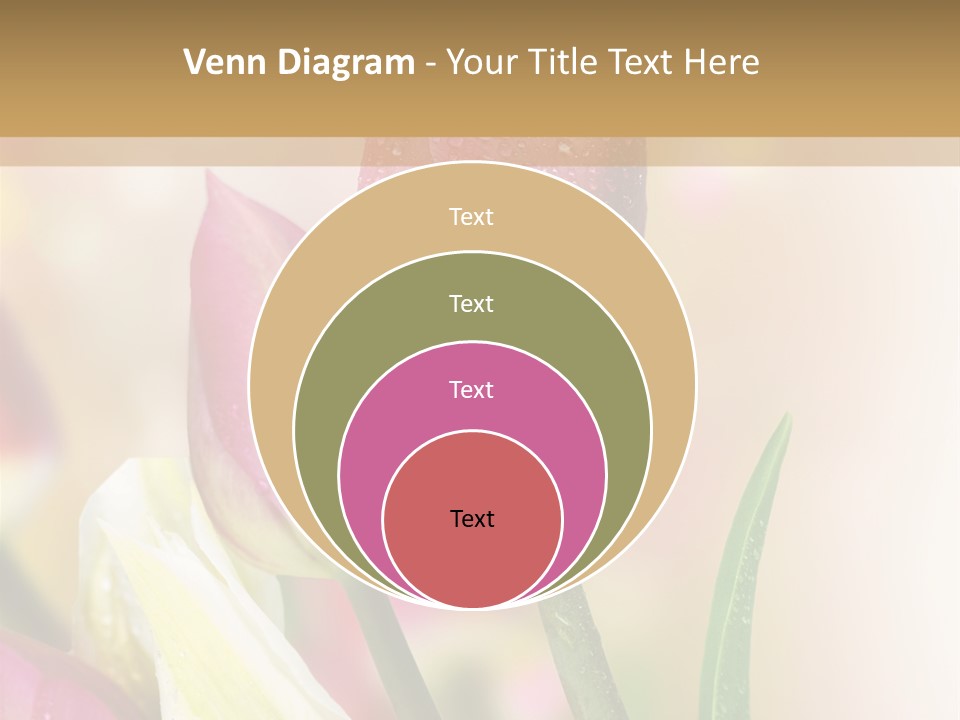Green Celebrate Copy PowerPoint Template