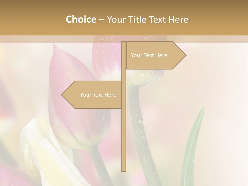 Green Celebrate Copy PowerPoint Template