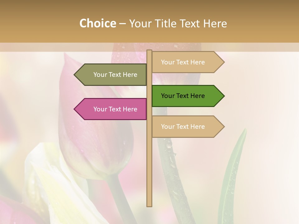 Green Celebrate Copy PowerPoint Template