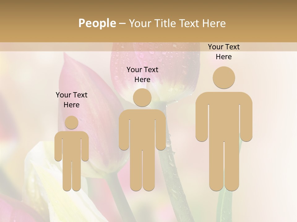 Green Celebrate Copy PowerPoint Template