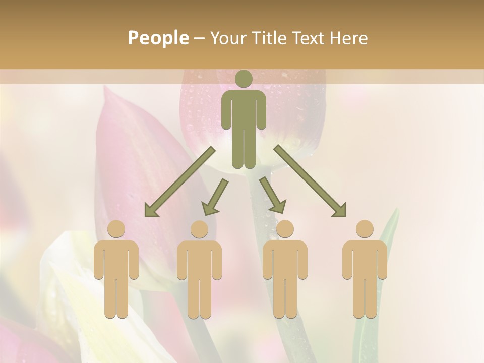 Green Celebrate Copy PowerPoint Template