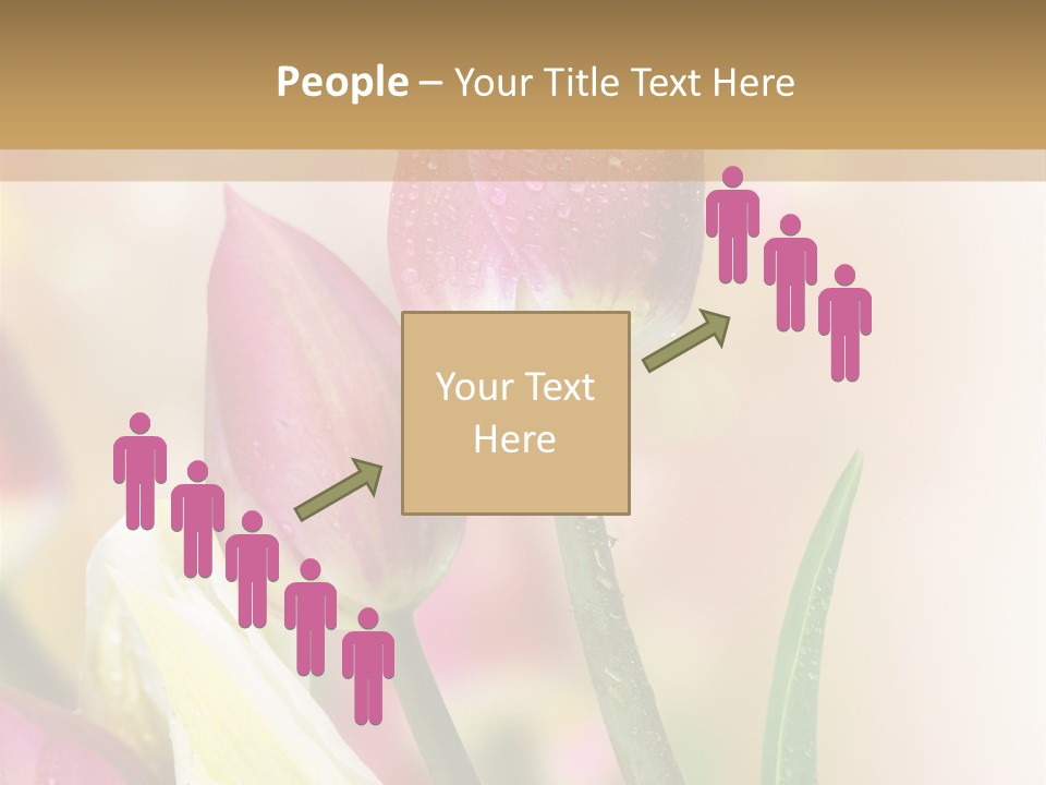 Green Celebrate Copy PowerPoint Template